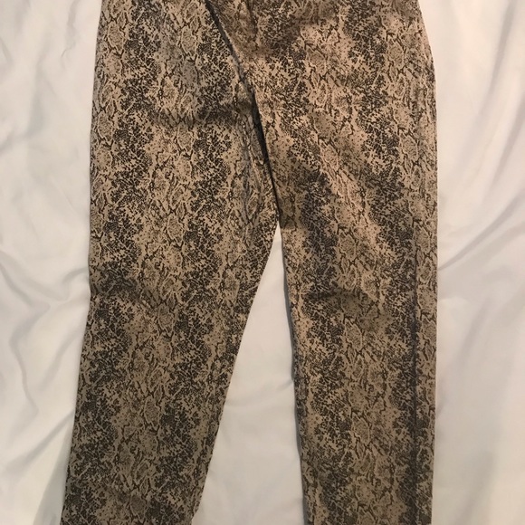 Chino python print pant - Picture 2 of 3